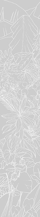 Papier peint Jungle Tropical Fond Gris Déco Lé Unique